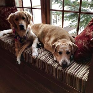 Meet your Posher, Loretta